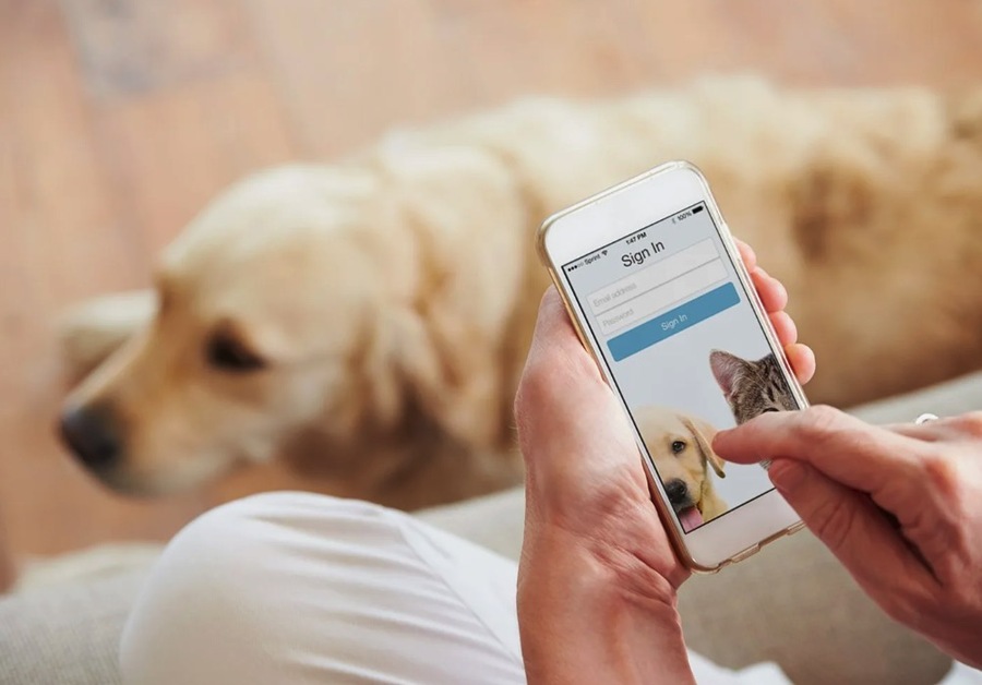 The Influence of Social Media on Pet Health Awareness